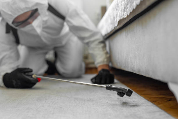 Professional Bed Bug Control technician working in Ellisville, MO